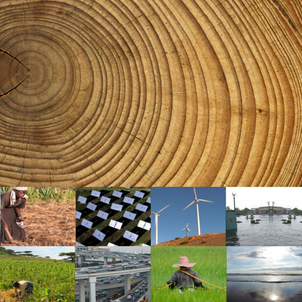 From Climate Science to Action