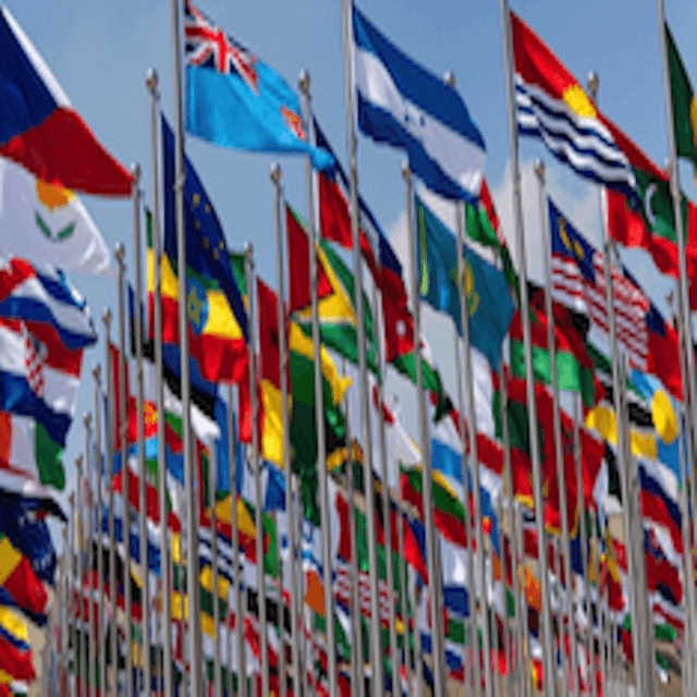 The Changing Global Order